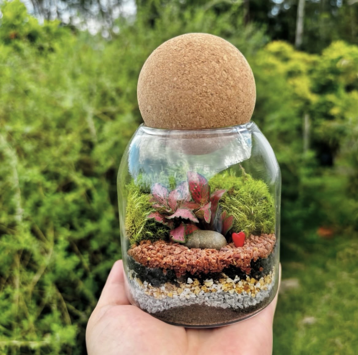 Terrário com tampa de cortiça e fitônia