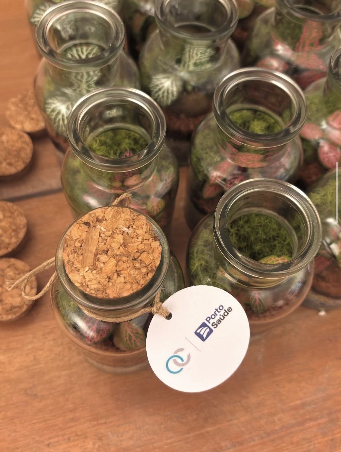 Terrários personalizados para empresa