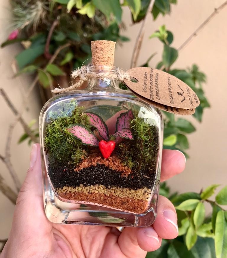 Seleção de terrários personalizados da Adoro Terrários